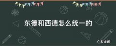 东德和西德怎么统一的背景 东德和西德怎么统一的