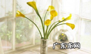 芳华自在笑靥如花什么意思 芳华自在笑靥如花什么意思?