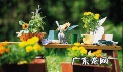 什么叫被子植物什么叫裸子植物 什么叫被子植物