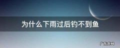 阴雨天为什么钓不到鱼 为什么下雨过后钓不到鱼