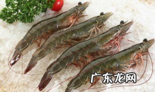 南美白对虾养殖技术要点 南美白对虾养殖技术