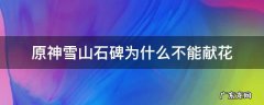 原神雪山石碑为什么不能献花 原神雪山放花的石碑