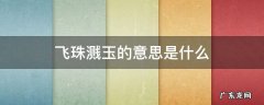 飞珠溅玉的意思是什么 飞珠溅玉的意思是什么在记金华的冰壶洞中描写的是什么