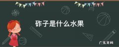 柿子是水果吗 砟子是什么水果