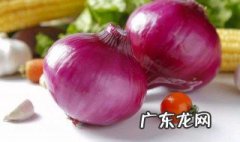 洋葱的吃法及做法大全 洋葱的吃法