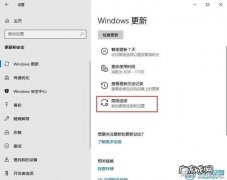 win10可选更新：windowsupdate要更吗？
