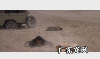 可可西里影评分析 可可西里影评