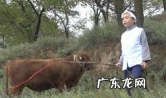 王二小的电影叫什么 王二小的电影