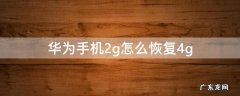 华为手机2g怎么恢复4g 华为手机2g怎么恢复4g emui10