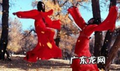 电影英雄简介 电影英雄简介内容