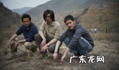 后会无期影评 后会无期影评解析