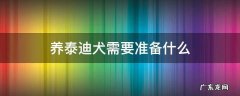 养泰迪犬需要准备什么 养泰迪犬需要注意什么