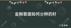怎么分辨金刚菩提是不是药籽 金刚菩提如何分辨药籽