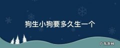 狗狗生小狗多久生一个 狗生小狗要多久生一个