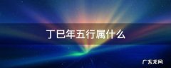 丁巳年五行属什么 丁未年五行属什么