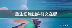 重生细胞的蜘蛛符文在哪弄 重生细胞蜘蛛符文在哪
