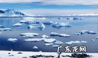 南极气温首次超过20度 南极气温首破20度怎么回事