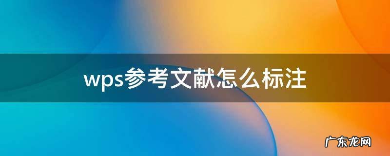 wps参考文献怎么标注到论文中 wps参考文献怎么标注