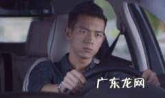 南方有乔木评价 南方有乔木好看吗