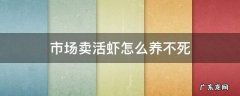 怎么养活虾在市场 市场卖活虾怎么养不死