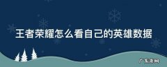 王者荣耀怎么看自己的英雄数据记录 王者荣耀怎么看自己的英雄数据