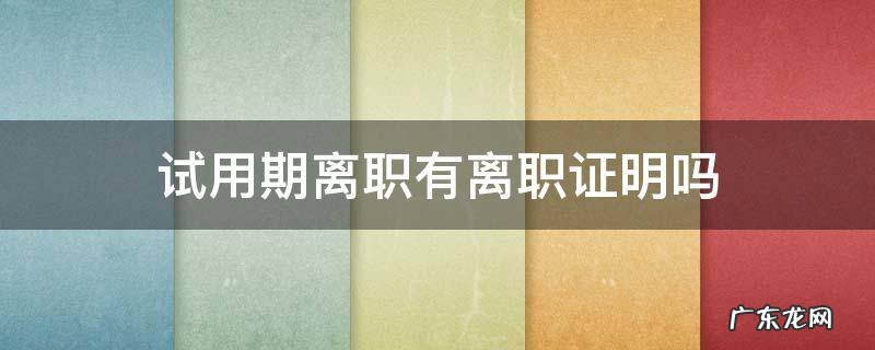 试用期离职有离职证明吗 试用期期间离职有离职证明吗
