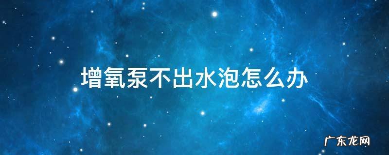 增氧泵不出泡泡 增氧泵不出水泡怎么办