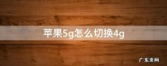 苹果5g怎么切换4g 苹果5G怎么切换4G网络