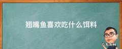 翘嘴鱼爱吃什么饵料 翘嘴鱼喜欢吃什么饵料