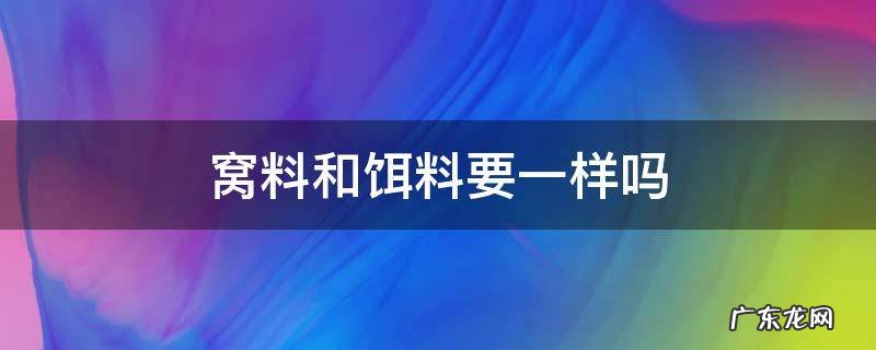 窝料和饵料要一样吗 钓鲤鱼窝料和饵料要一样吗
