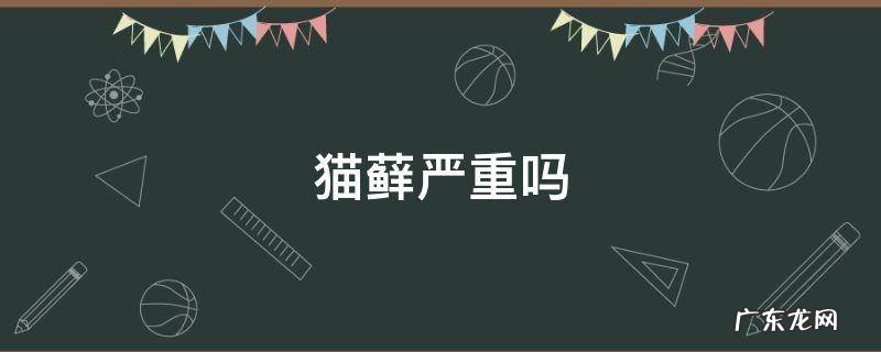 猫得猫藓严重吗 猫藓严重吗