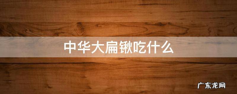 中华大扁锹吃什么水果 中华大扁锹吃什么