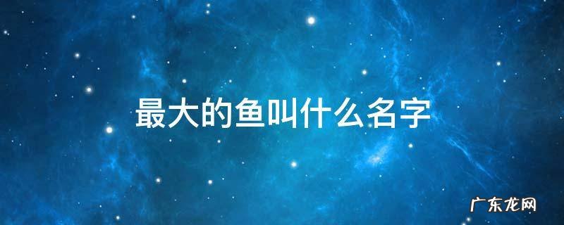 特别大的鱼叫什么名字 最大的鱼叫什么名字