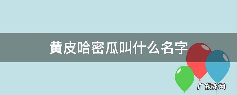 黄色皮哈密瓜 黄皮哈密瓜叫什么名字