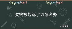 欠钱被起诉了该怎么办 我欠钱被起诉了该怎样应诉