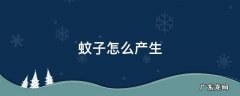 蚊子怎么产生的 图片 蚊子怎么产生
