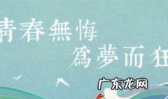青春无悔作文800字 青春无悔作文