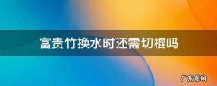 富贵竹换水时还需切棍吗 刚剪的富贵竹可以放水里吗