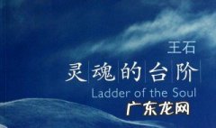 灵魂的台阶在线阅读 灵魂的台阶作者简介