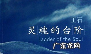 灵魂的台阶在线阅读 灵魂的台阶作者简介