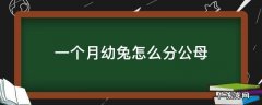 一个月幼兔怎么分公母 一个月小兔怎么分公母