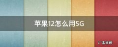 苹果12怎么用5Gwifi 苹果12怎么用5G