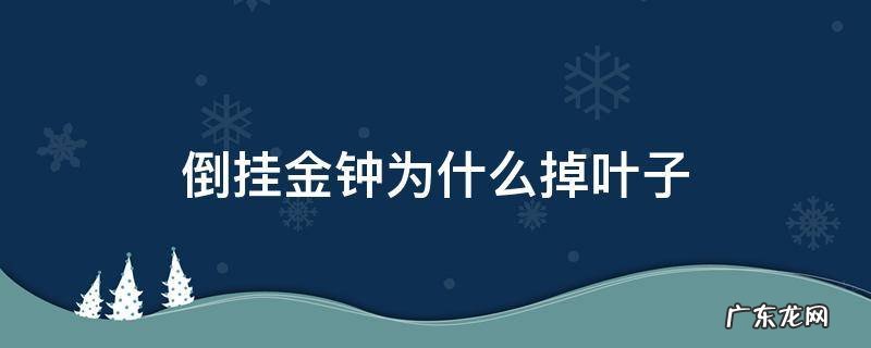 倒挂金钟为什么掉叶子 倒挂金钟为什么掉叶子和花蕾