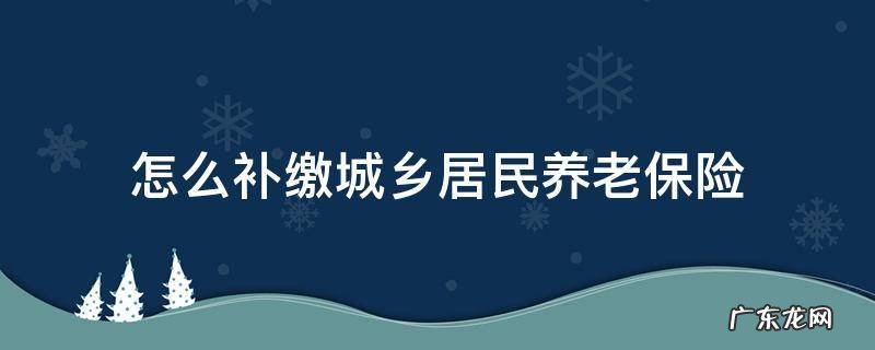 怎么补缴城乡居民养老保险金 怎么补缴城乡居民养老保险