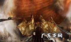 西游降魔传介绍 西游降魔传奇攻略