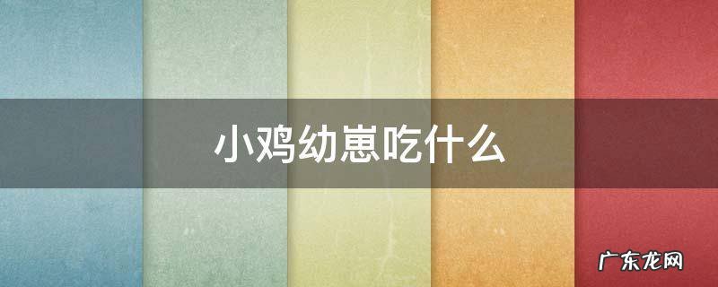 小鸡幼崽吃什么? 小鸡幼崽吃什么