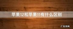 苹果12和苹果11有什么区别 苹果12跟苹果11有啥区别
