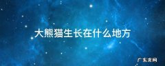 大熊猫生长在什么地方生长的环境好不好 大熊猫生长在什么地方