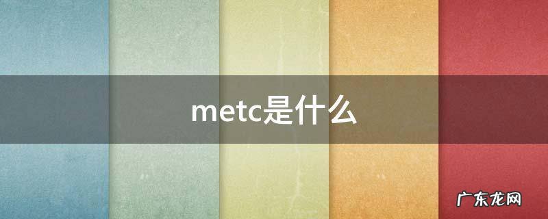 metc是什么 mect是什么意思啊