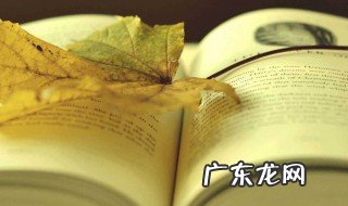 倚天剑屠龙记演员表 剑桥倚天屠龙史作者